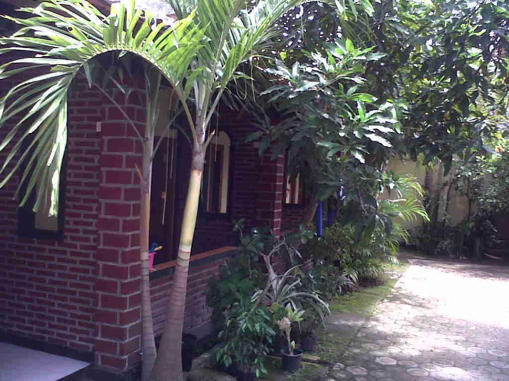 פנגנדאראן Rinjani Homestay מראה חיצוני תמונה